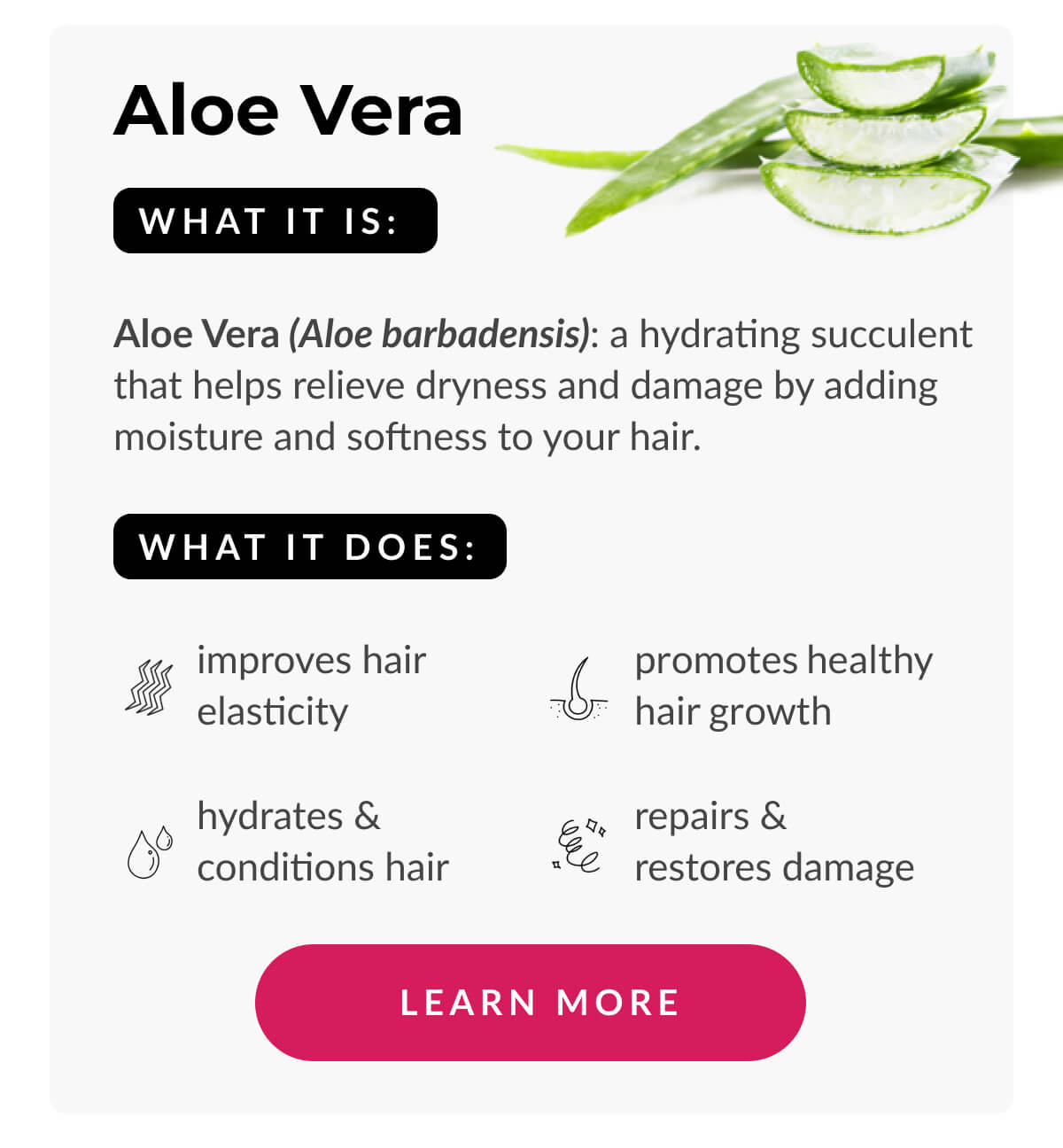 Aloe Vera What It Is: Aloe Vera (Aloe barbadensis): a hydrating succulent that helps relieve dryness and damage by adding moisture and softness to your hair.