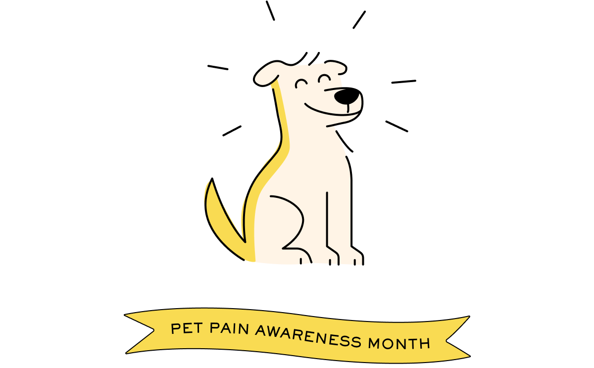 Pet Pain Awareness Month